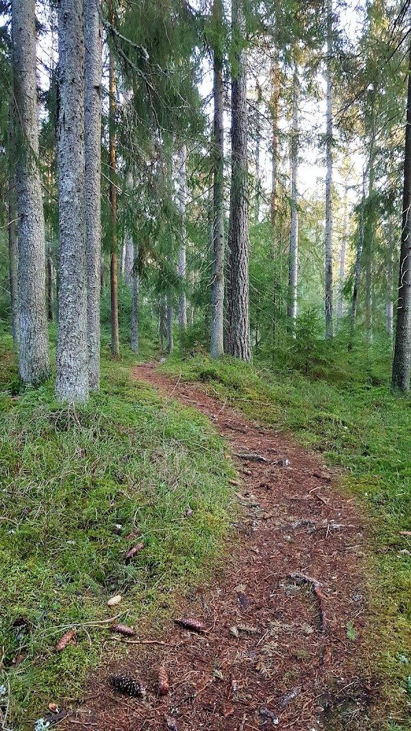 Bilde fra FOLLO RØR OG VEDLIKEHOLD Rune Mæhlum i Ås